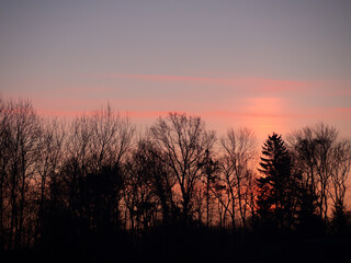 Sunrise trees silhouette