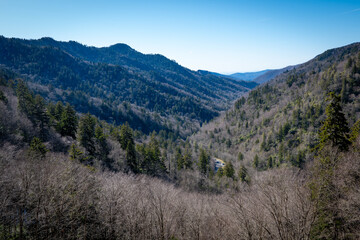 A mountain valley, covered with forest trees, is viewed on a sunny afternoon with clear blue sky.