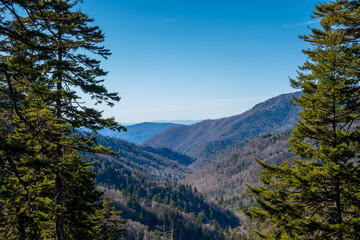 A mountain valley, covered with forest trees, is viewed between evergreen trees on a sunny afternoon with clear blue sky.