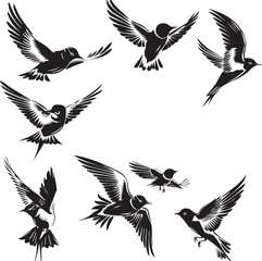 Obraz premium set of birds