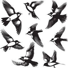 set of flying birds