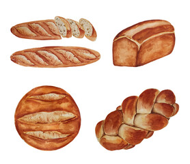 Set of watercolor fresh bread on white background. Bakery products and pastry illustrations. Bread collection of bun, baguette, round crusty bread, sliced baquette, braided bread.