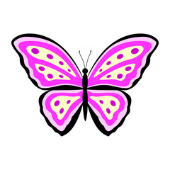 Butterfly. Color vector illustration in flat style. PNG with transparent background.