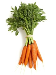bundle of carrots with a white background 