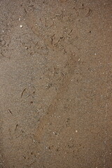 Shallow water on the beach.