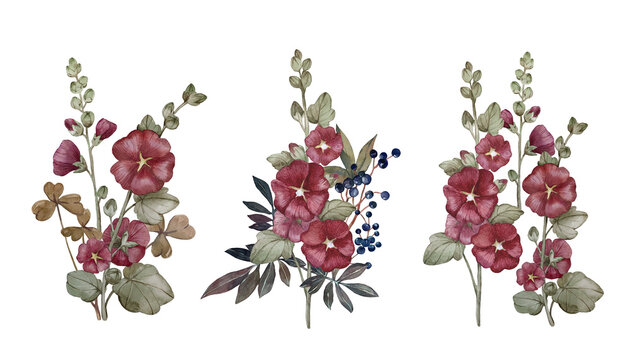 Red floral compositions with mallow branches and viburnum berries. Set of watercolor illustrations