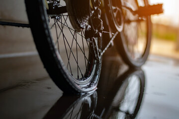 Rear bicycle wheel which is flat and parked on wet floor of house garage, soft focus.