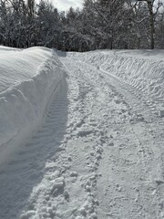 早朝の雪の世界
