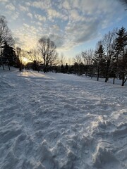 早朝の雪の世界