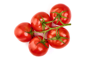 Tomato branch. Ripe fresh tomatoes, close-up, isolated on white background