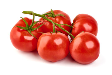 Tomato branch. Ripe fresh tomatoes, close-up, isolated on white background