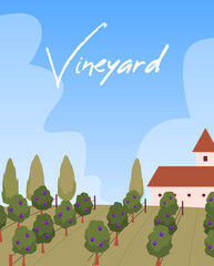 Vector illustration of a vineyard with grape fields, poster with place for text.