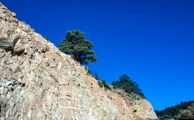 Conifers and other drought-resistant plants grow on the clay and stone rocks of the mountain at the pass in the Sierra Nevada Mountains, California, USA