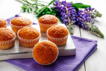 Freshly baked muffins and purple lupins on white wooden background. Homemade baking, preparing sweet dessert. Summer recipe.