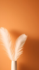 White grass on orange background