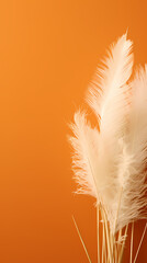 White grass on orange background