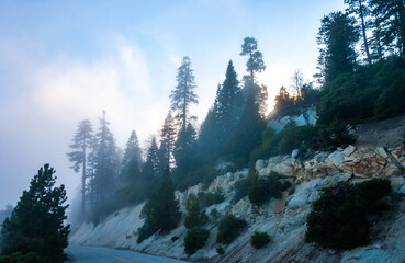 Mountain pass - view from the top of the mountain, coniferous trees in clouds on the slopes of the...