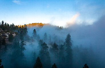 Mountain pass - view from the top of the mountain, coniferous trees in clouds on the slopes of the...