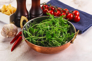 Micro green plants for cooking