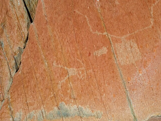Bronze Age Rock Engravings Carvings or Petroglyphs of Bulls in the Vallée des Merveilles (Valley...