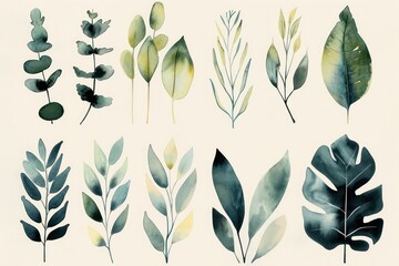beautiful plants watercolored illustration in soft pastel tones