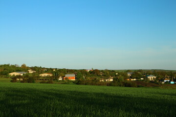 A field of grass with houses in the background