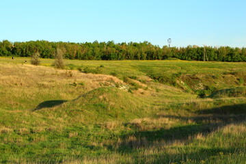 A grassy field with trees in the background