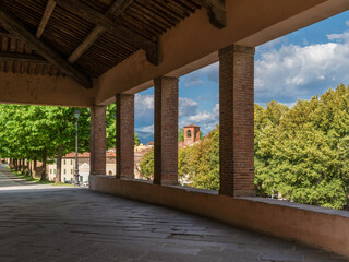 View of Lucca historical center from city walls porch