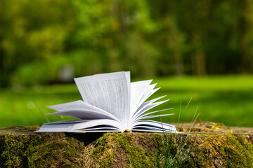 an open book on a tree stump in the park, sunny day, greenery in the background