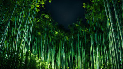 bamboo forest at night,beautiful,Generative AI
