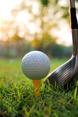 Grass field with golf balls placed on a yellow tee.