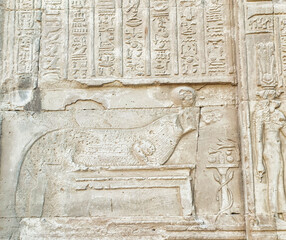 Wall relief of a sacred nile crocodile, dedicated to the Crocodile headed Goddess, Sobek at the...