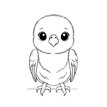 recommend clip art: Cute Baby Parakeet Animal Outline, Parakeet Vector Illustration