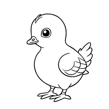 Cute Baby Pigeon Animal Outline, Pigeon Vector Illustration