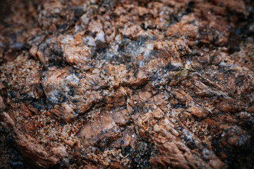 Stones on the seashore. Close-up. Soft selective focus. Artificially created grain for the picture