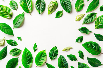 Green Leaves Arranged in a Circle on a White Background AI generated