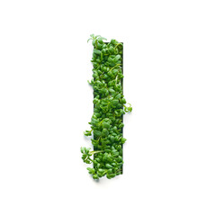 Capital letter I is created from young green arugula sprouts on a white background.