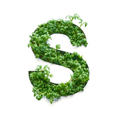 Capital letter S is created from young green arugula sprouts on a white background.