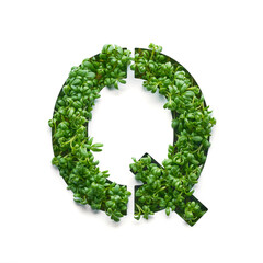 Capital letter Q is created from young green arugula sprouts on a white background.