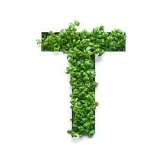 Capital letter T is created from young green arugula sprouts on a white background.