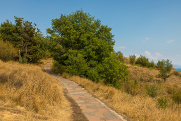 Path among the meadows. Lake Sevan area. Armenia.