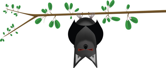 Bat Hangs From Branch of Blooming Apple Tree