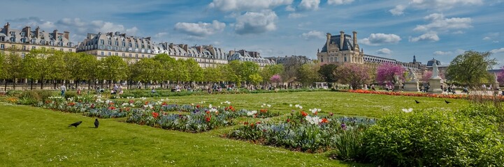Panoramic view of the vibrant Tuileries Garden in spring with blooming flowers and Parisian...