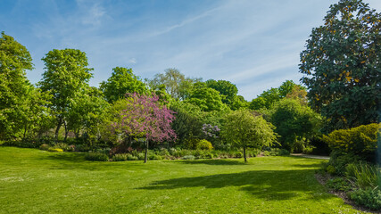 Serene springtime garden with lush greenery and blooming trees under a clear blue sky, ideal for...