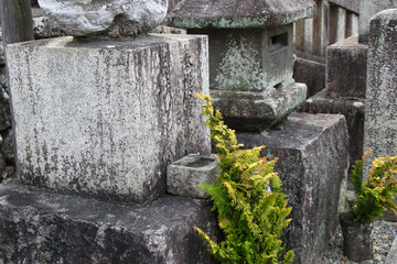 Kyoto, Japan, March 2024, Buddhist Temple Kiyomizu-dera Niomon Gate in spring, 