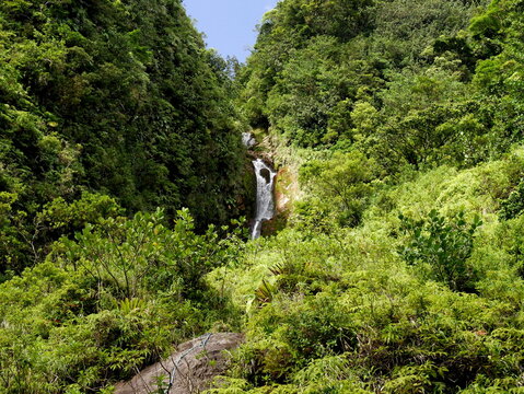 vivid freshwater of galion waterfall in guadeloupe, caribbean cascade in Saint Claude near Soufri&egrave;re Volcano. Tropical lush landscape of Basse Terre