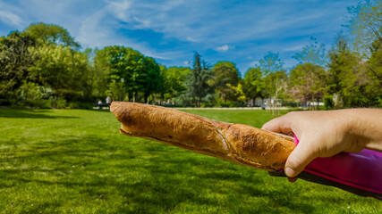 Hand holding a fresh baguette in a sunny park, conveying concepts of outdoor dining, picnics, and...
