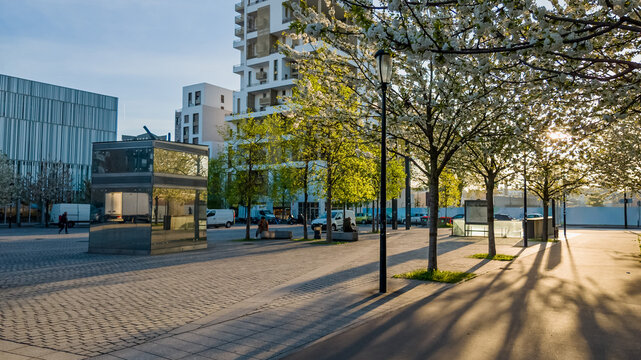 Tranquil urban park with flowering trees in springtime, modern architecture, and people enjoying a sunny day, ideal for Arbor Day and urban planning concepts