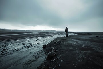 A lone figure stands on a desolate plain, looking out over a dark and stormy sea.