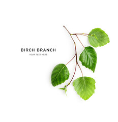 Spring birch tree branch green leaves border isolated on white background.